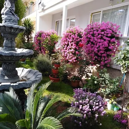 Guest house Punta *